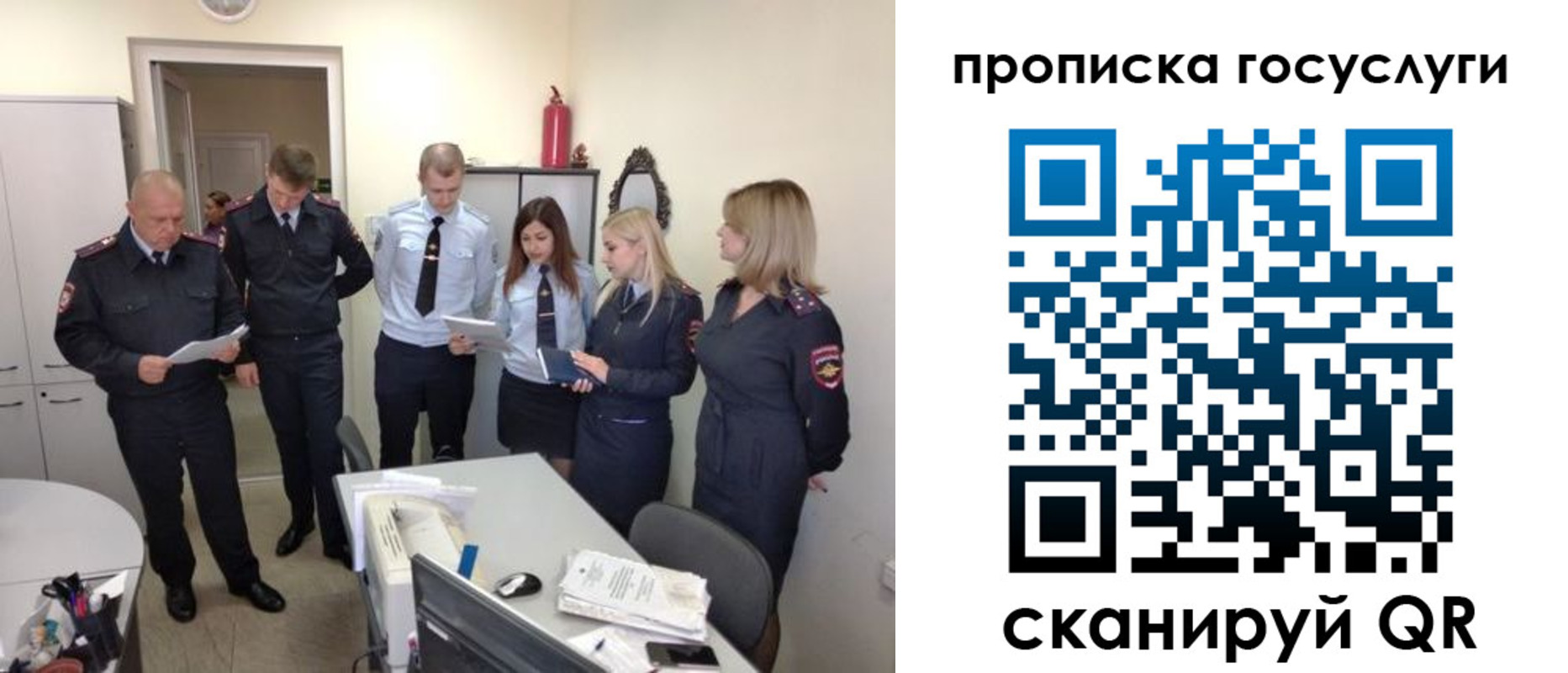 прописка поиск в Ельне