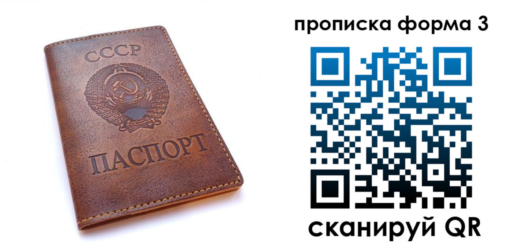 временная прописка в Ельне